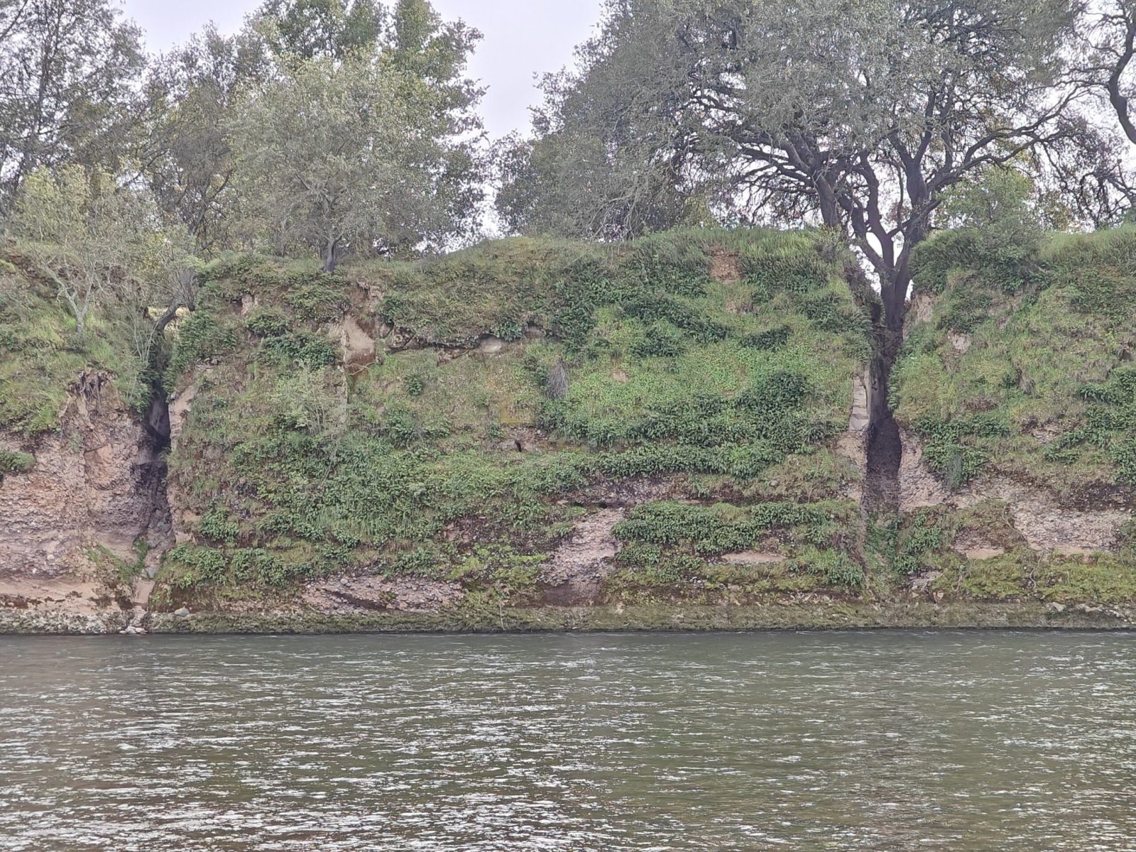 chinese-diggings-scaled