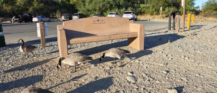 IMG_20260902_182925210_HDR