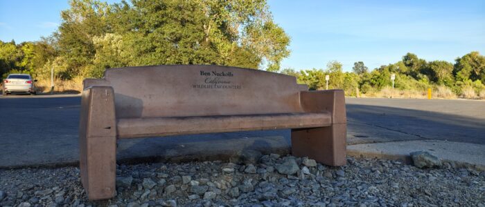 IMG_20260902_184109297_HDR